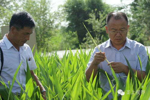 敦煌种业种子营销分公司—通过组织黑龙江农户开展体验之旅活动进一步提升公司的社会形象