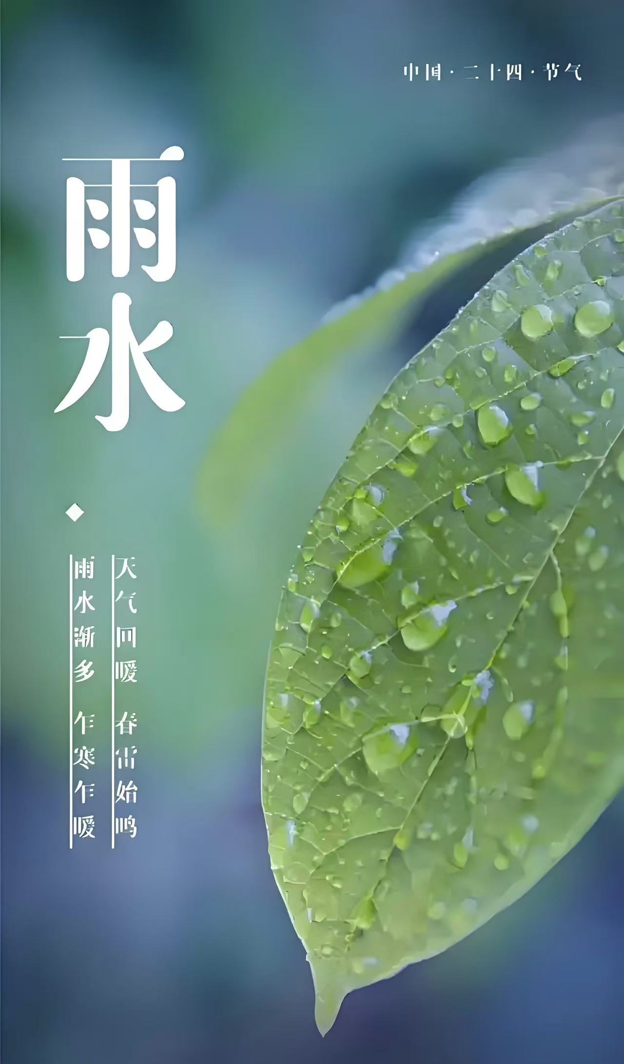 今日雨水 | 好雨知时节，当春乃发生